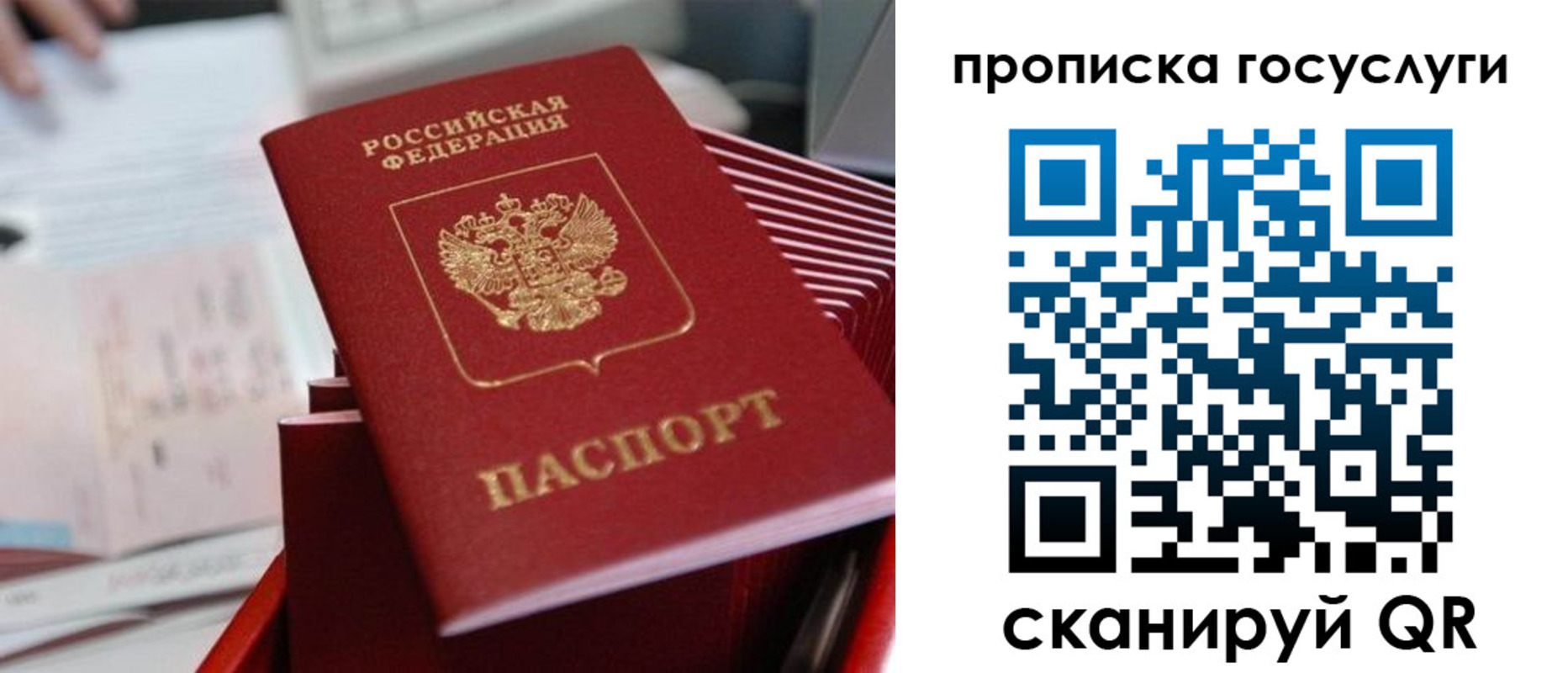 прописка законно в Крымске